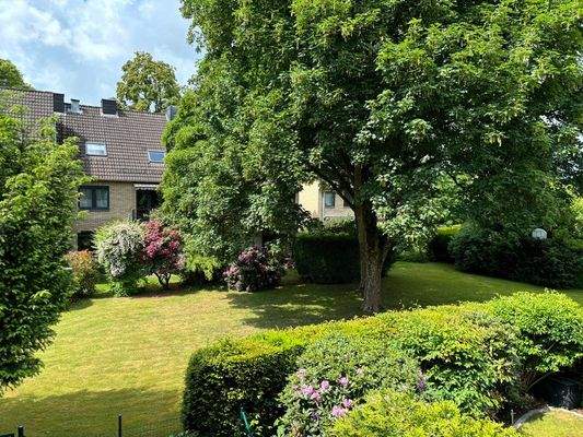 Blick in den Gemeinschaftsgarten 