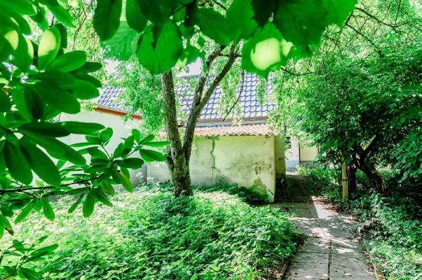 15 Garten mit Haus
