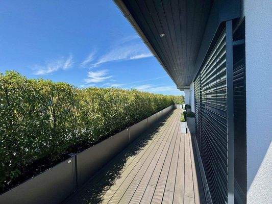 Eingewachsene Dachterrasse