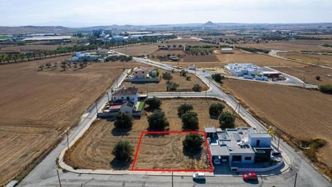 Larnaka Bauernhöfe, Landwirtschaft, Larnaka Forstwirtschaft