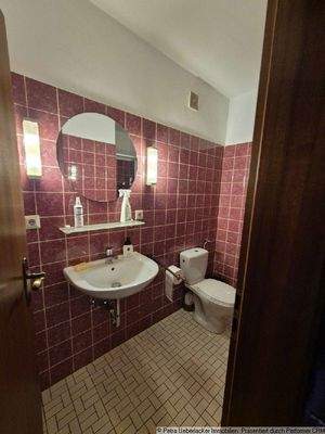 Gäste-WC mit Dusche UG