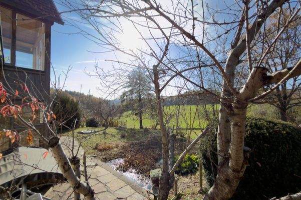 Birkenweg 4, Thal-29