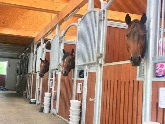 CD106E1F-7236-4181-B3D2-DEFC37680B0E