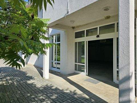 Hirschfelde Ladenlokale, Ladenflächen 