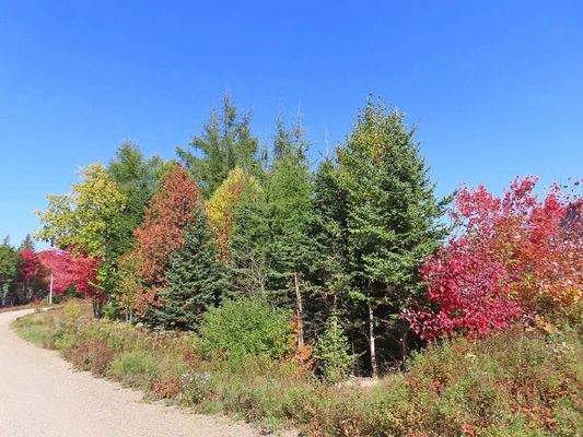 Nova Scotia - 25 Hektar großes Areal mit ehemalige