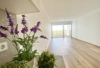 Küchenzeile mit Blick in den Wohnessraum