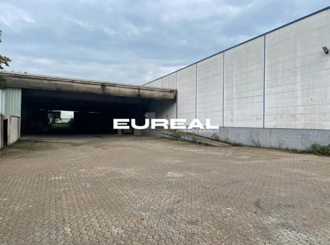 Oberhausen Halle, Oberhausen Hallenfläche