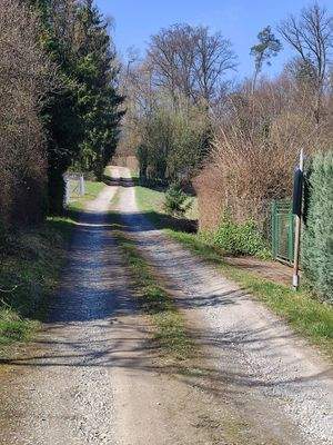 Zufahrt Mahdwiesenweg 15.jpg