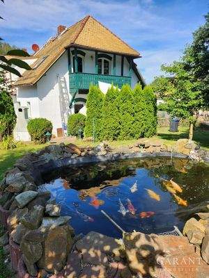 03 Südansicht mit Koi-Teich