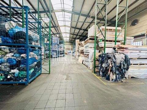 Haan Halle, Haan Hallenfläche