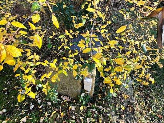 Brunnen mit elektr. Pumpe