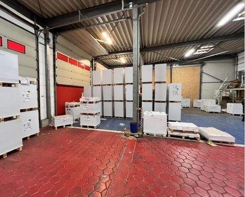 Norderstedt Halle, Norderstedt Hallenfläche