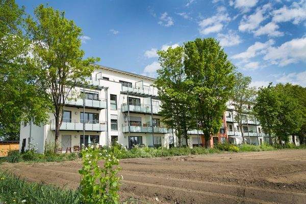 512_Hammerer_5D__1005