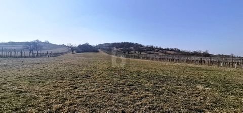 Schützen am Gebirge Bauernhöfe, Landwirtschaft, Schützen am Gebirge Forstwirtschaft