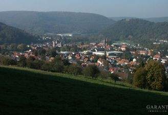 Blick auf Amorbach
