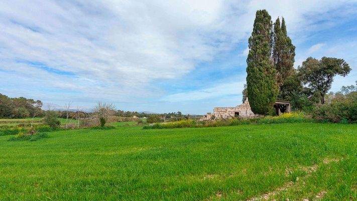Rustikales Grundstück zum Verkauf in Muro, Mallorca