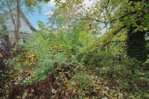 Hinteres Grundstück