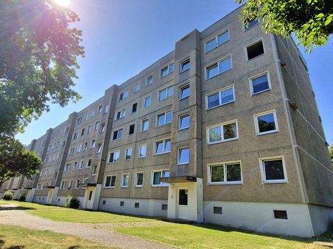 Dresden Wohnungen, Dresden Wohnung mieten