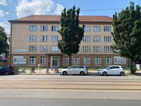 Dresden Halle, Dresden Hallenfläche