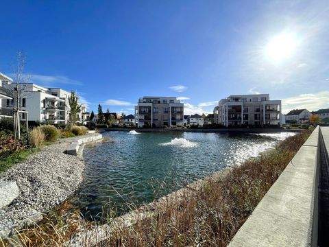 Kenzingen Wohnungen, Kenzingen Wohnung kaufen