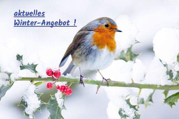 Herzlich Willkommen ...