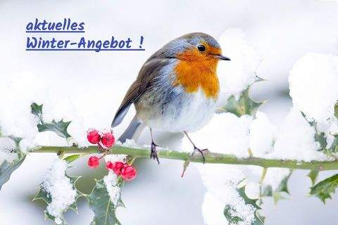 Großbottwar Häuser, Großbottwar Haus kaufen