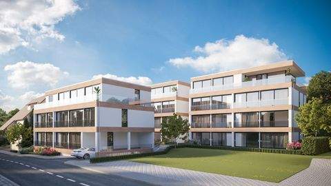 Mötzingen Wohnungen, Mötzingen Wohnung kaufen