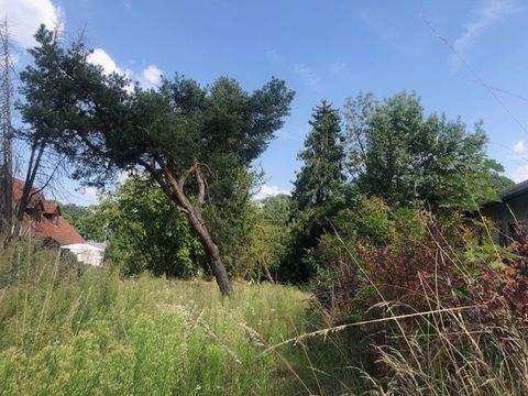 Tegernbach Pfaffenhofen an der Ilm Grundstücke, Tegernbach Pfaffenhofen an der Ilm Grundstück kaufen