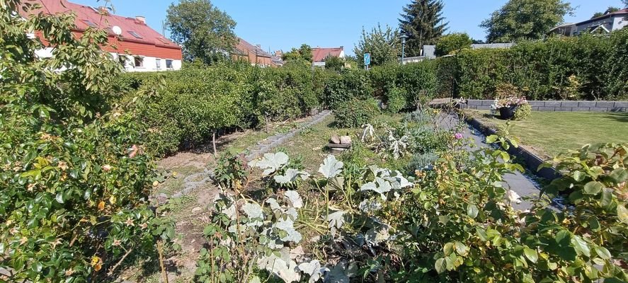 Obstbäume und Beete