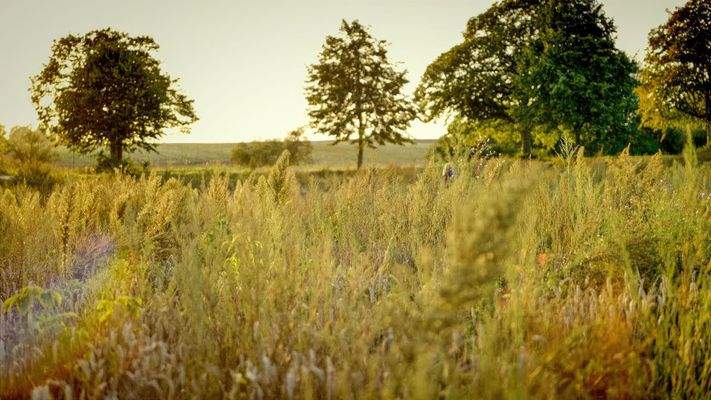Kavelstorf, hier errichten wir Ihne neues Zuhause