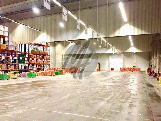 INFOS UNTER: 06171-586000