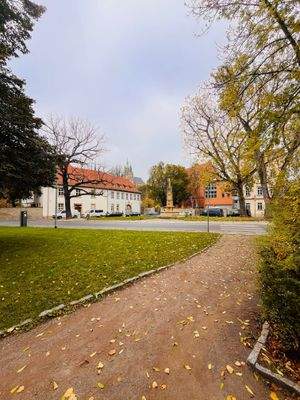 Kopie von IMG_4040.jpg