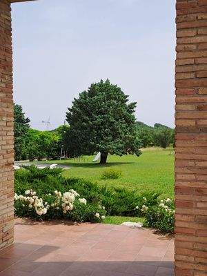 426674199_965518138263592_7258007161344972787_n.jp