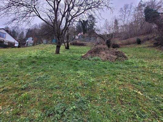 03_Baugrundstück II