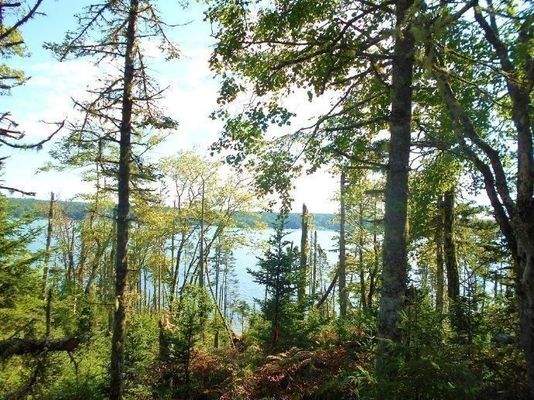 Blick zur Wasserfront