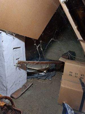 WhatsApp Image 2025-10-13 at 08.55.59 (2)