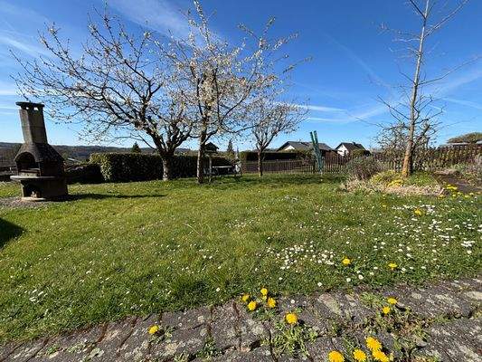 Teilansicht vom Garten