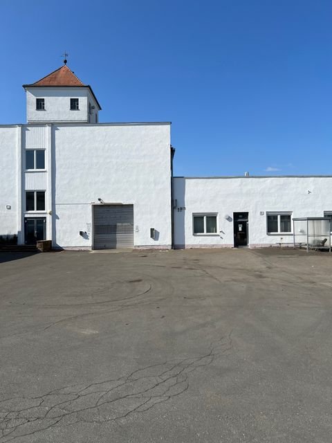 Trabitz Halle, Trabitz Hallenfläche
