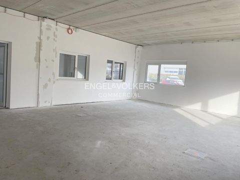 Berlin Halle, Berlin Hallenfläche