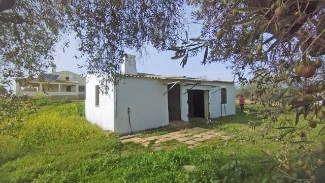 2402 haus mit pool, andalusien, huelva, la palma del condado zu verkaufen