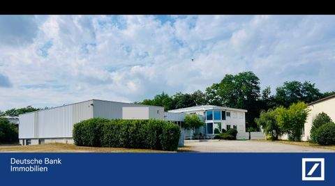 Hügelsheim Halle, Hügelsheim Hallenfläche