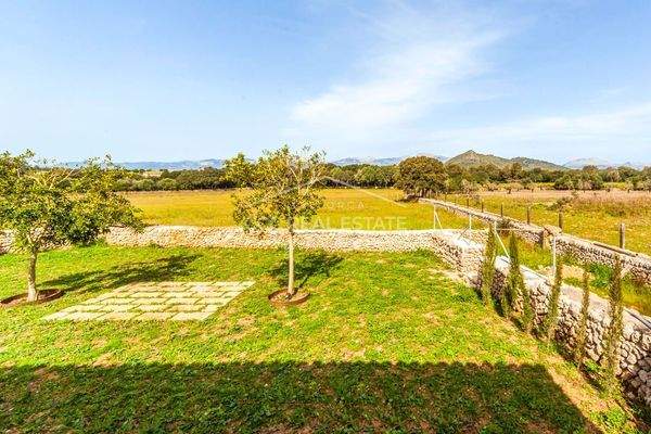 Blick über das Grundstück