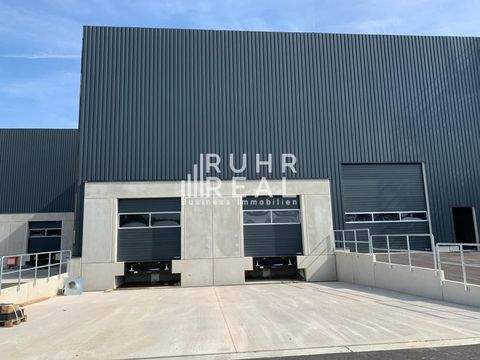 Troisdorf Halle, Troisdorf Hallenfläche