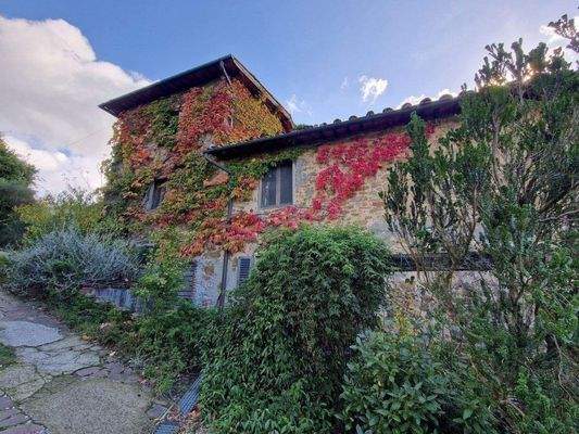 76LAzienda_ agricola_Toskana.jpg