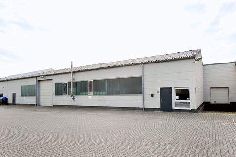 Kamen Halle, Kamen Hallenfläche