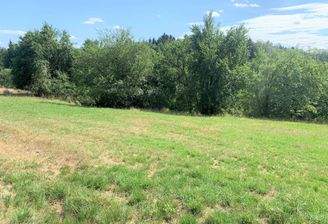 20230731_133504500_iOS