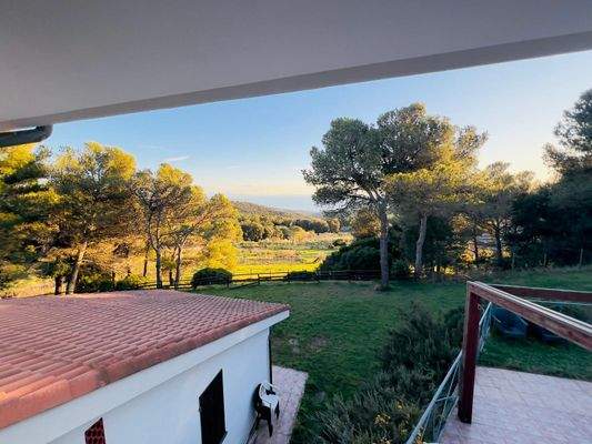 PHOTO-2024-12-11-21-49-57 11.jpeg