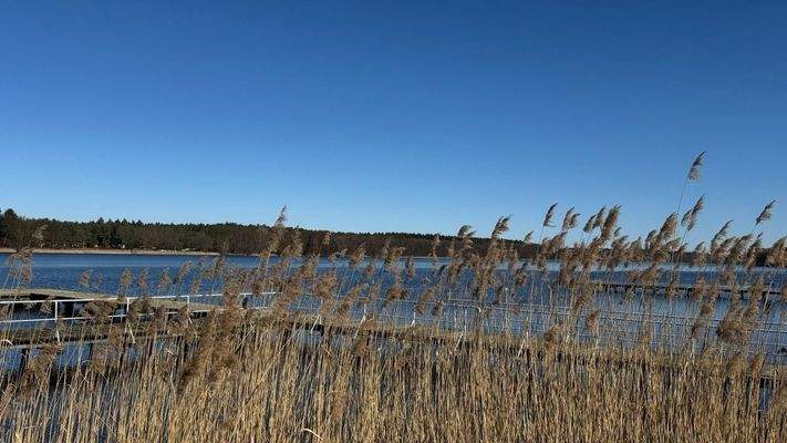 Groß (IMG_6471).jpeg