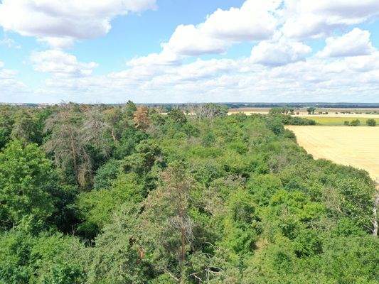 Luftaufnahme - Blick Richtung Westen