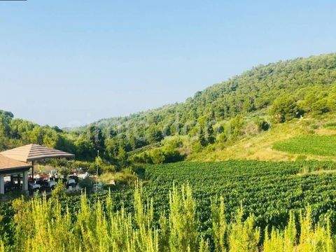 Vis Bauernhöfe, Landwirtschaft, Vis Forstwirtschaft